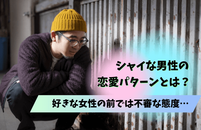 シャイな男性が好きな女性にとる態度,シャイ,男性,好きな女性,態度,惚れてるサイン,脈あり,見分け方,コツ,魔法の言葉