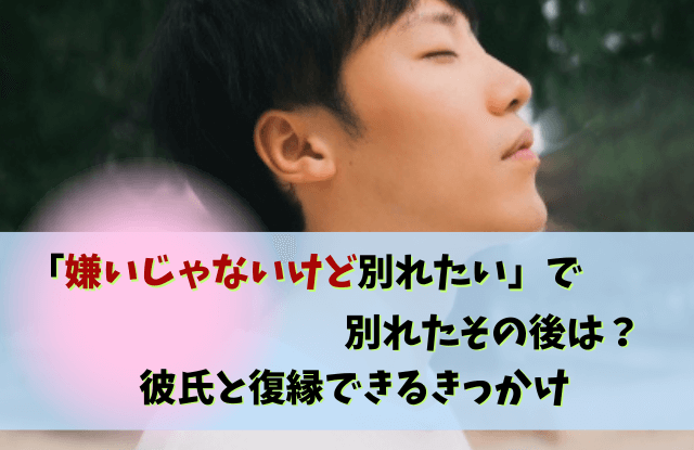 嫌いじゃないけど別れたい,彼氏,心理,男性心理,対処法,本音,男性,別れ,復縁